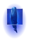 Dolphin badge